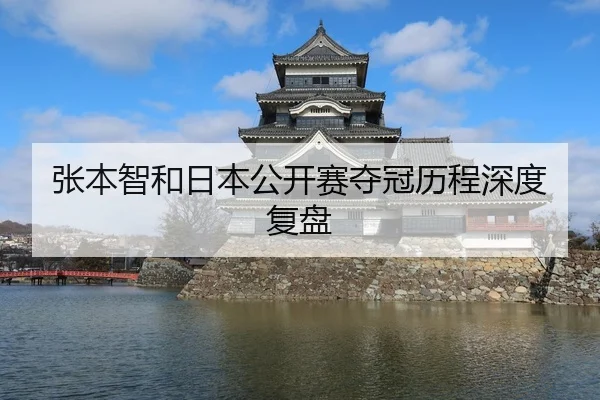 张本智和日本公开赛夺冠历程深度复盘